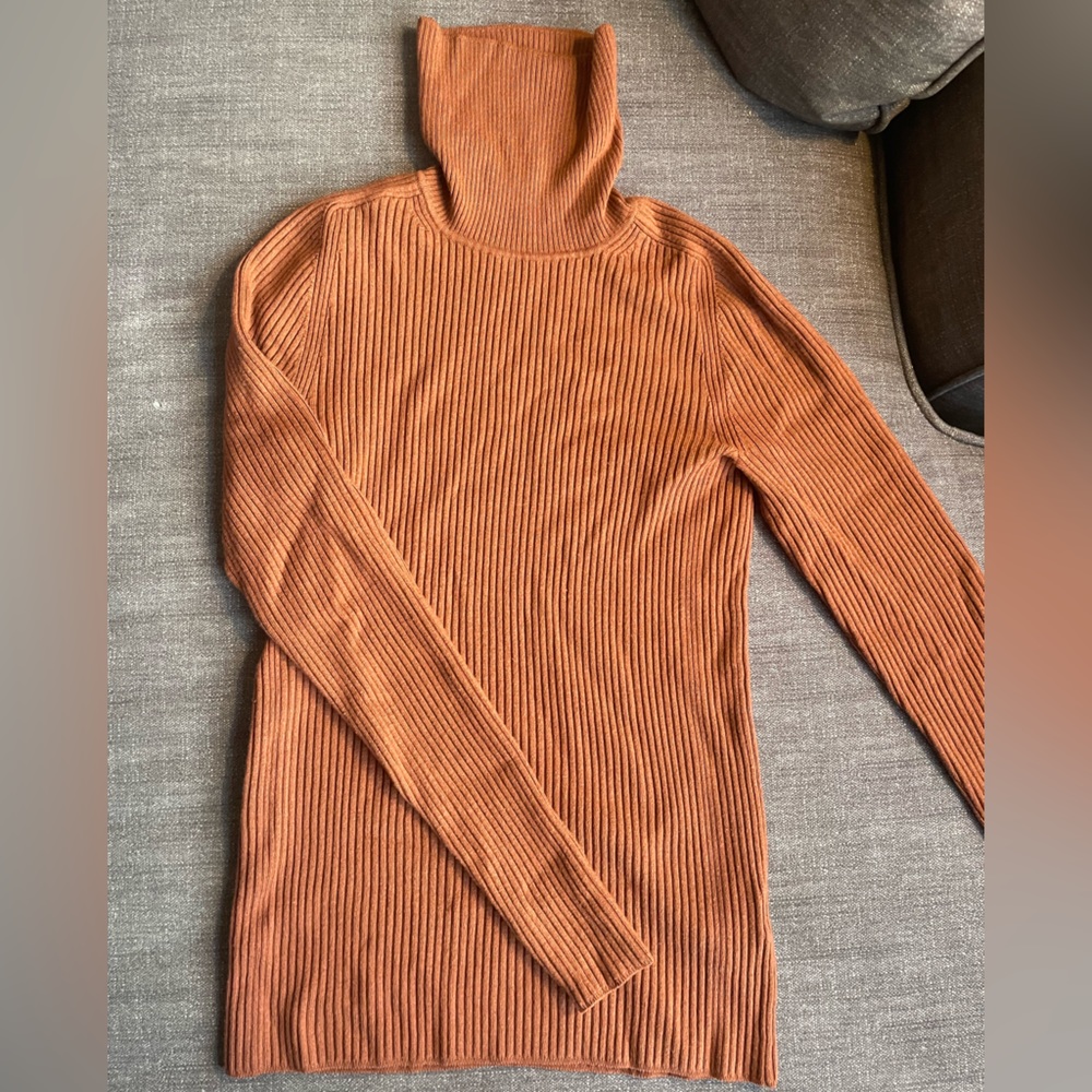 Everlane Turtleneck Sweater